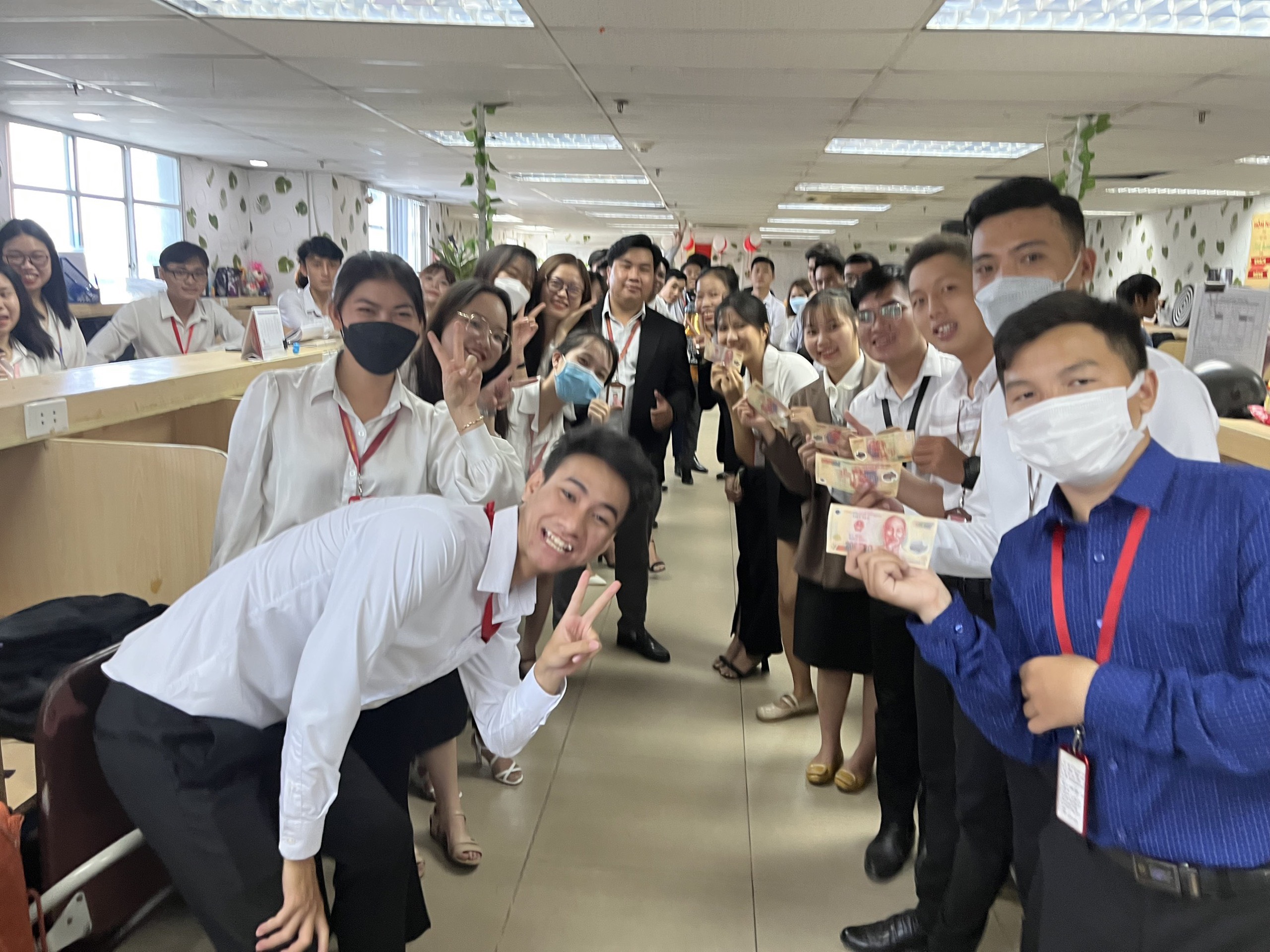 lĩnh vực hoạt động